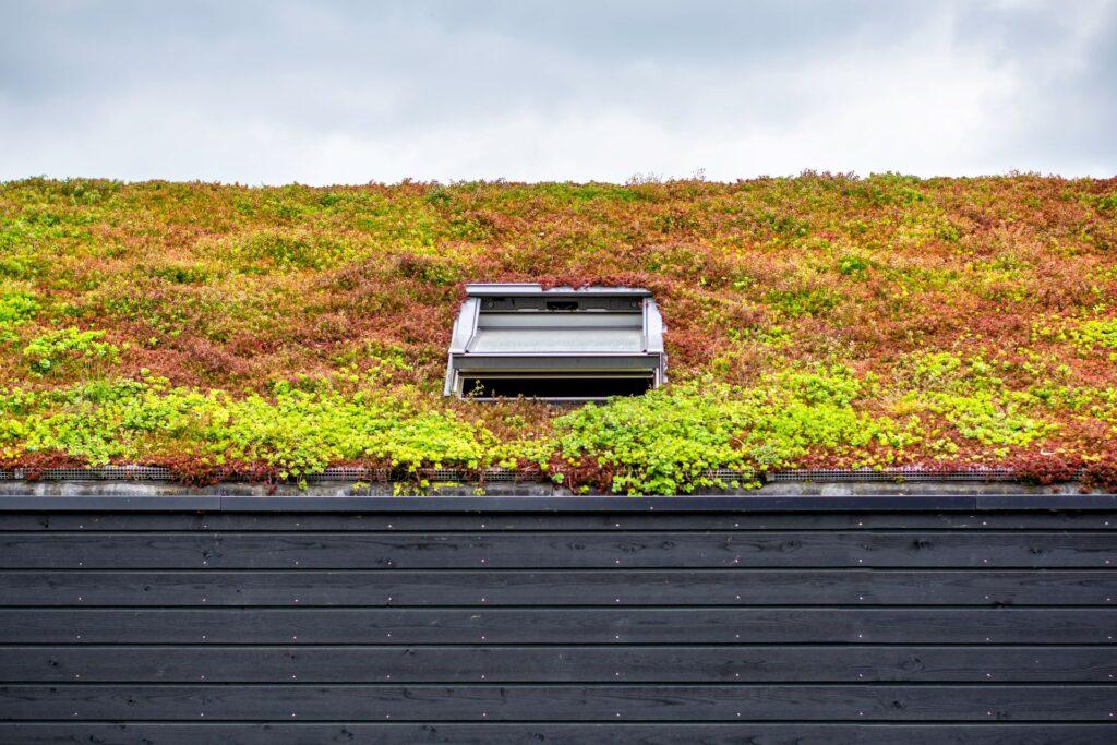 Gebäude mit begrüntem Dach, das vollständig mit Vegetation bedeckt ist. Ausgedehntes grünes nachhaltiges Sedumdach mit Sukkulenten. Dachbegrünung mit Sukkulenten. Oberlicht in der Mitte des Daches