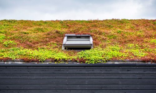 Kühle Köpfe dank Dachbegrünung: Natürliche Klimaanlagen für Häuser