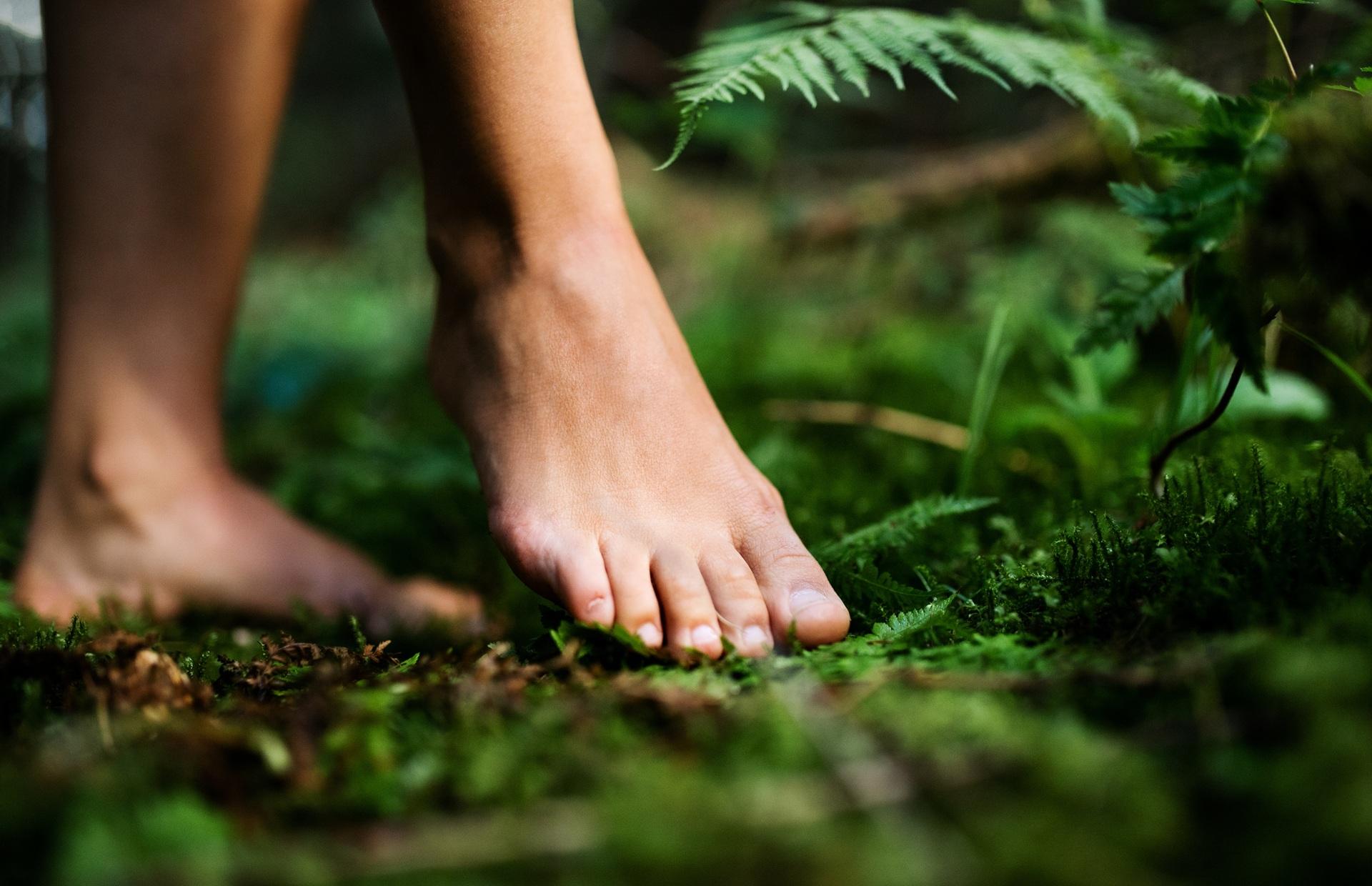 Barfußschuhe erleben auf Waldboden